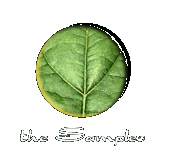 eona Samples